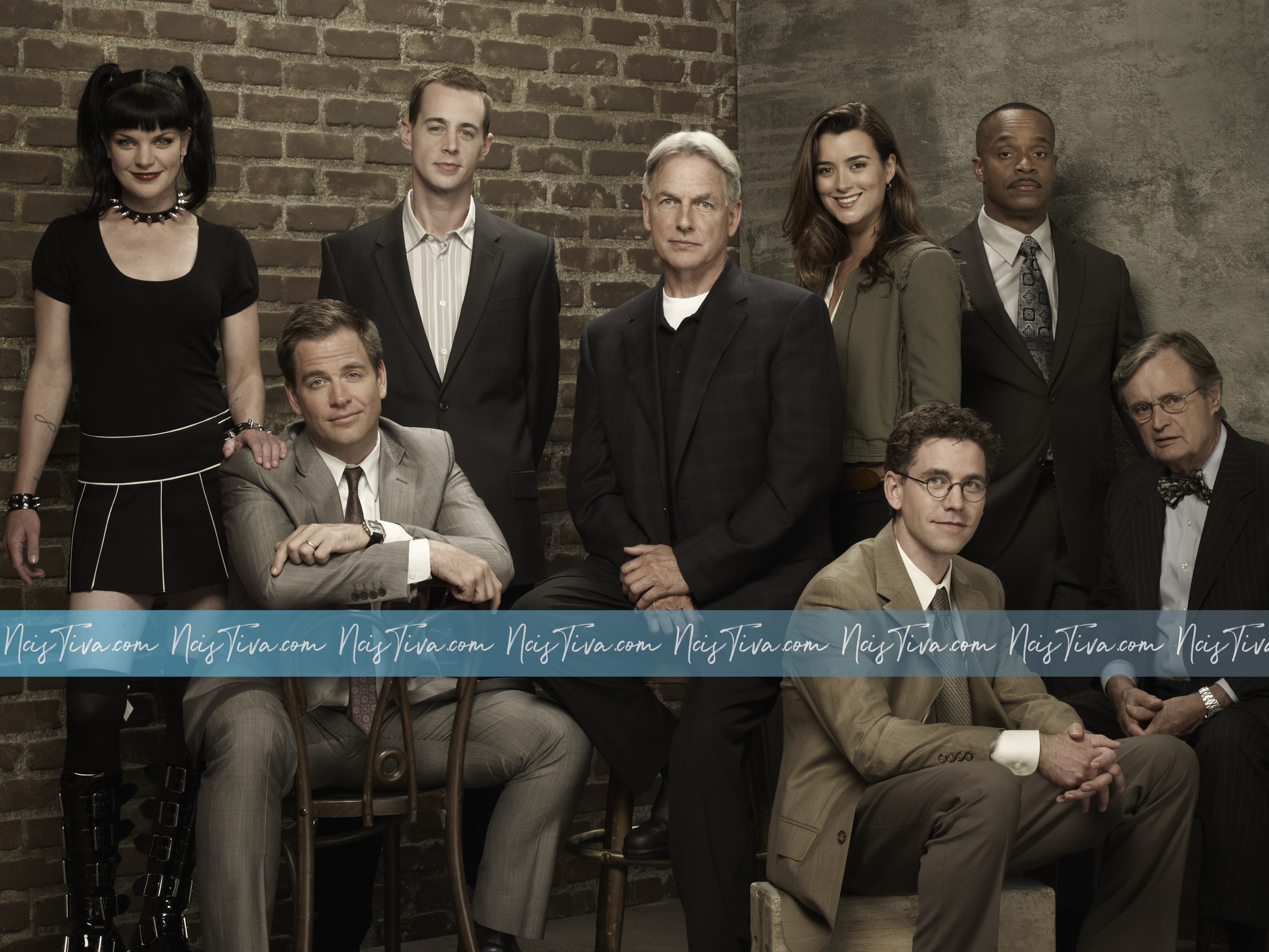 Mark Harmon, Cote de Pablo, Michael Weatherly, Pauley Perette, Rocky Carroll, Sean Murray, David McCallum, and Brian Deitzen