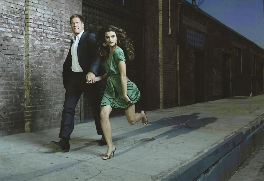 Michael Weatherly; Cote de Pablo