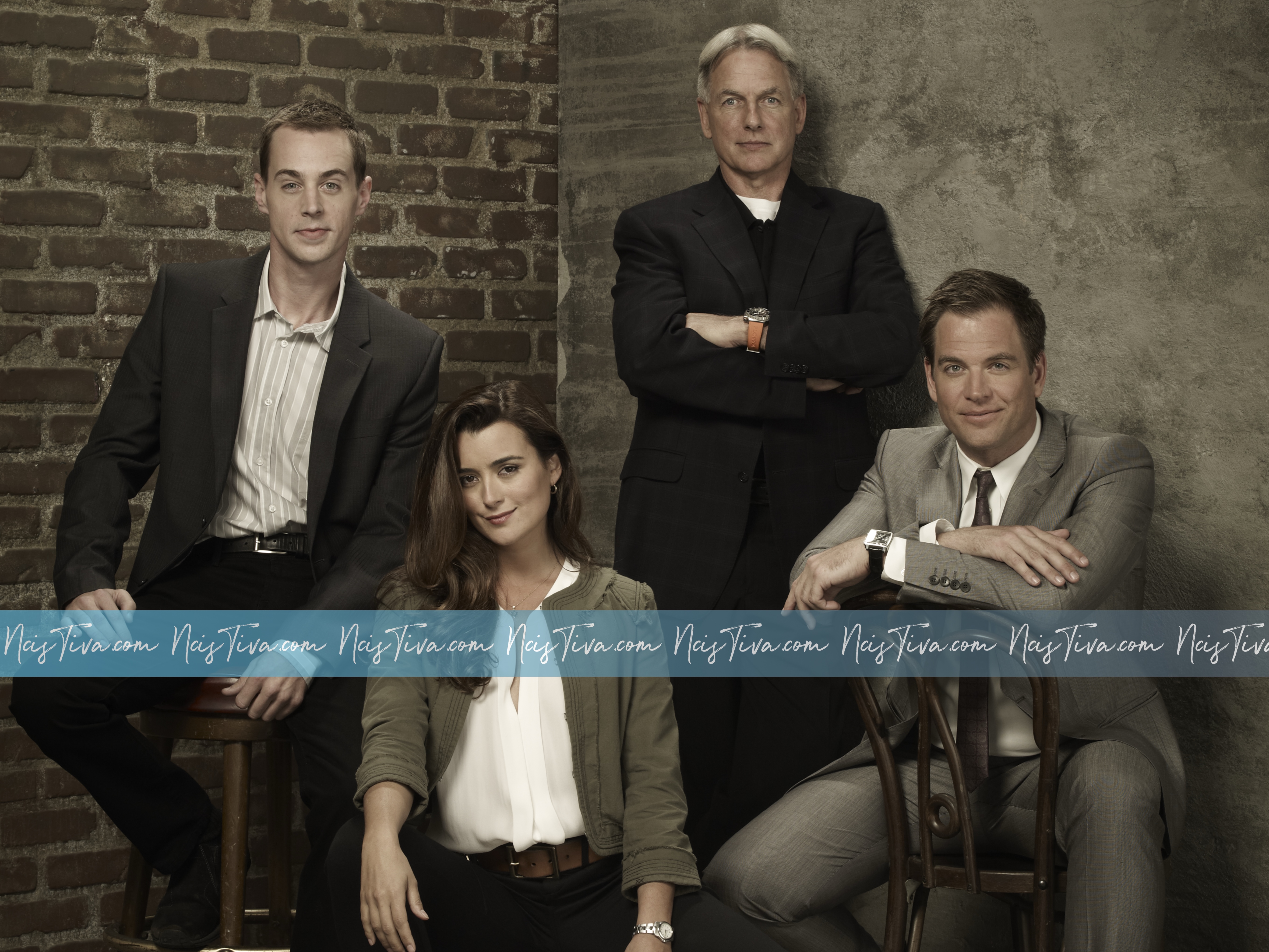 Mark Harmon, Michael Weatherly, Cote de Pablo & Sean Murray