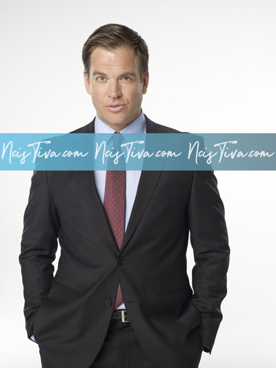 Michael Weatherly as Tony DiNozzo