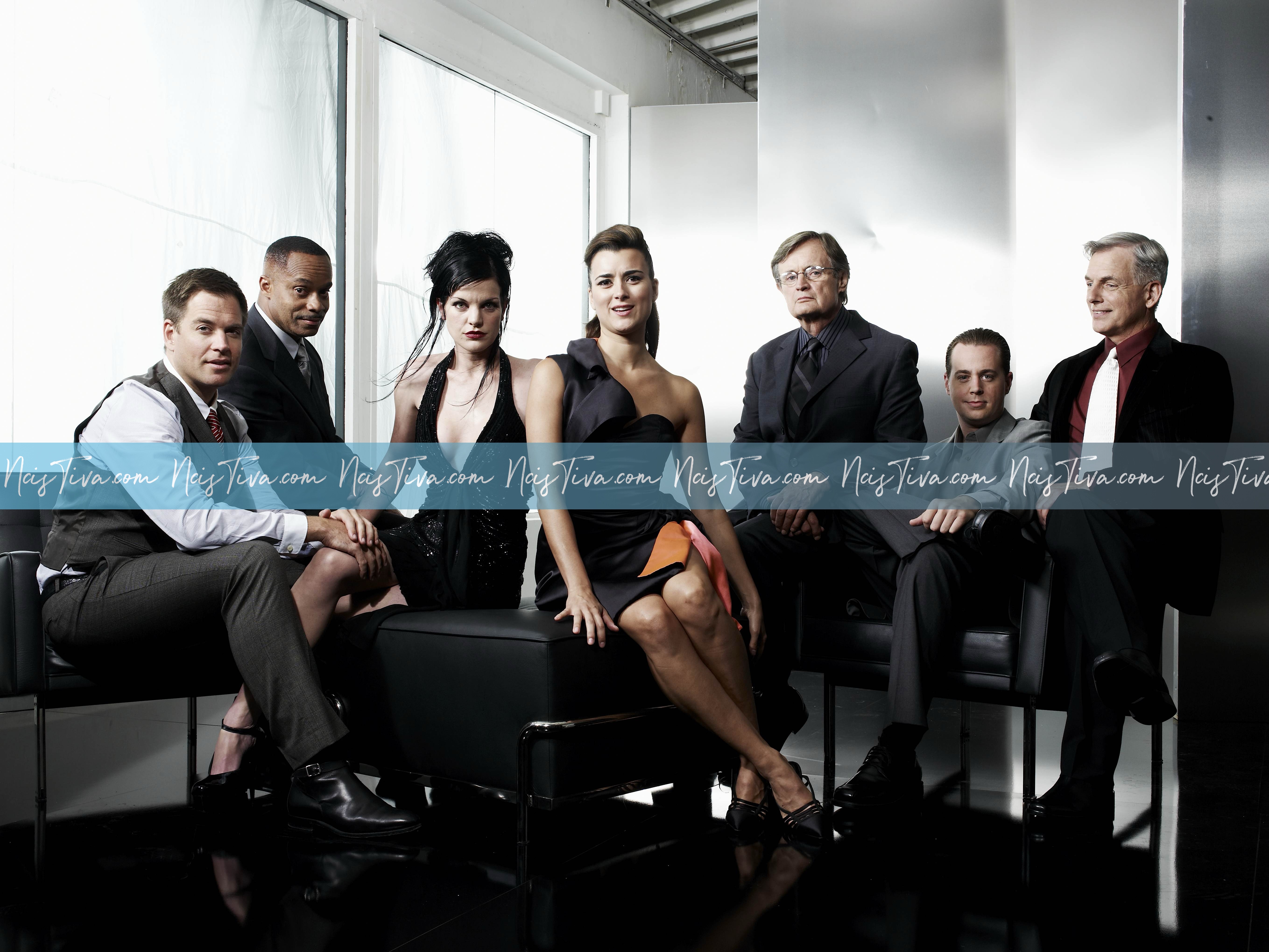 David McCallum, Michael Weatherly, Pauley Perrette, Mark Harmon, Cote de Pablo, Sean Murray & Rocky Carroll