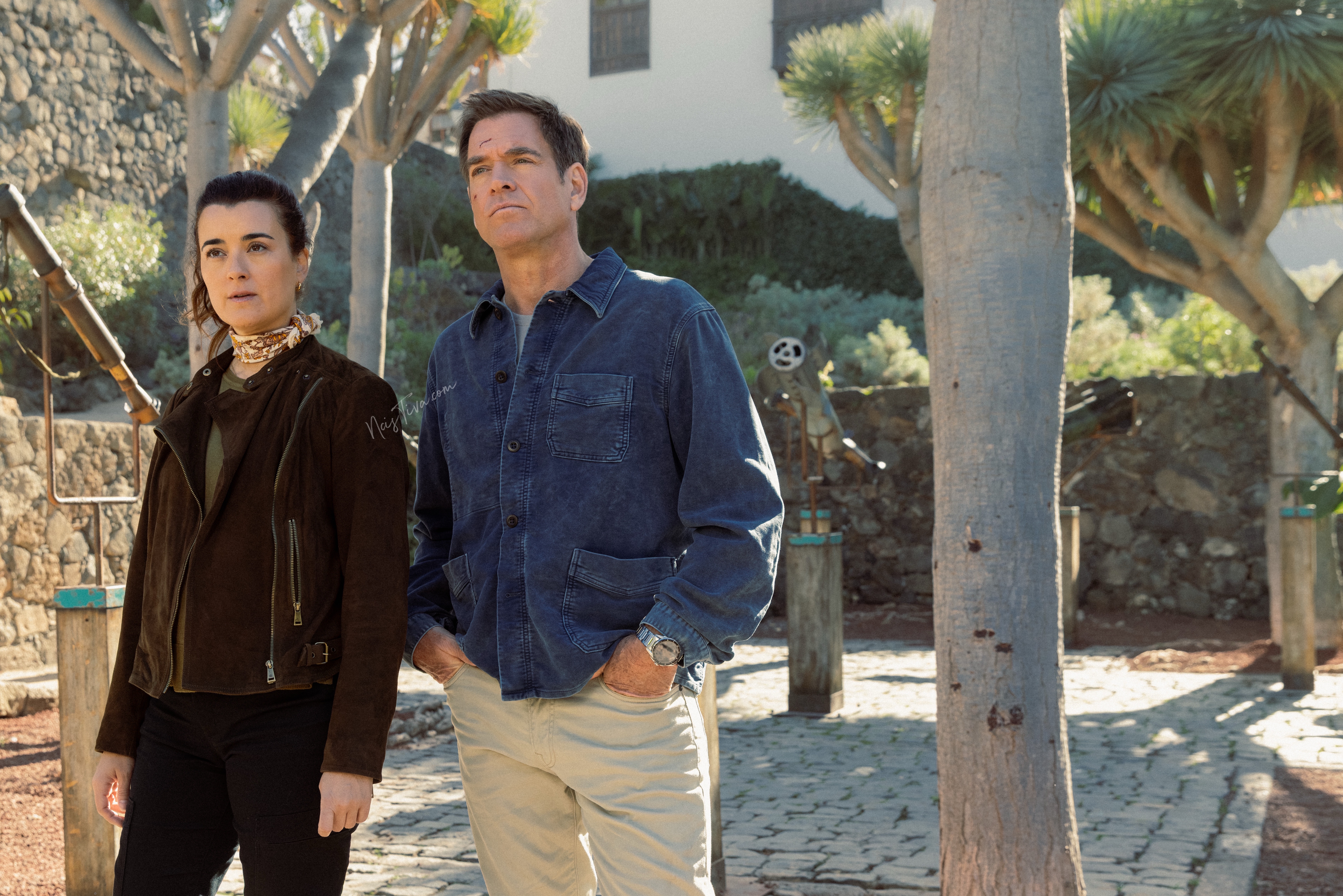 Cote De Pablo as Ziva David and Michael Weatherly as Tony Dinozzo In NCIS: Tony & Ziva