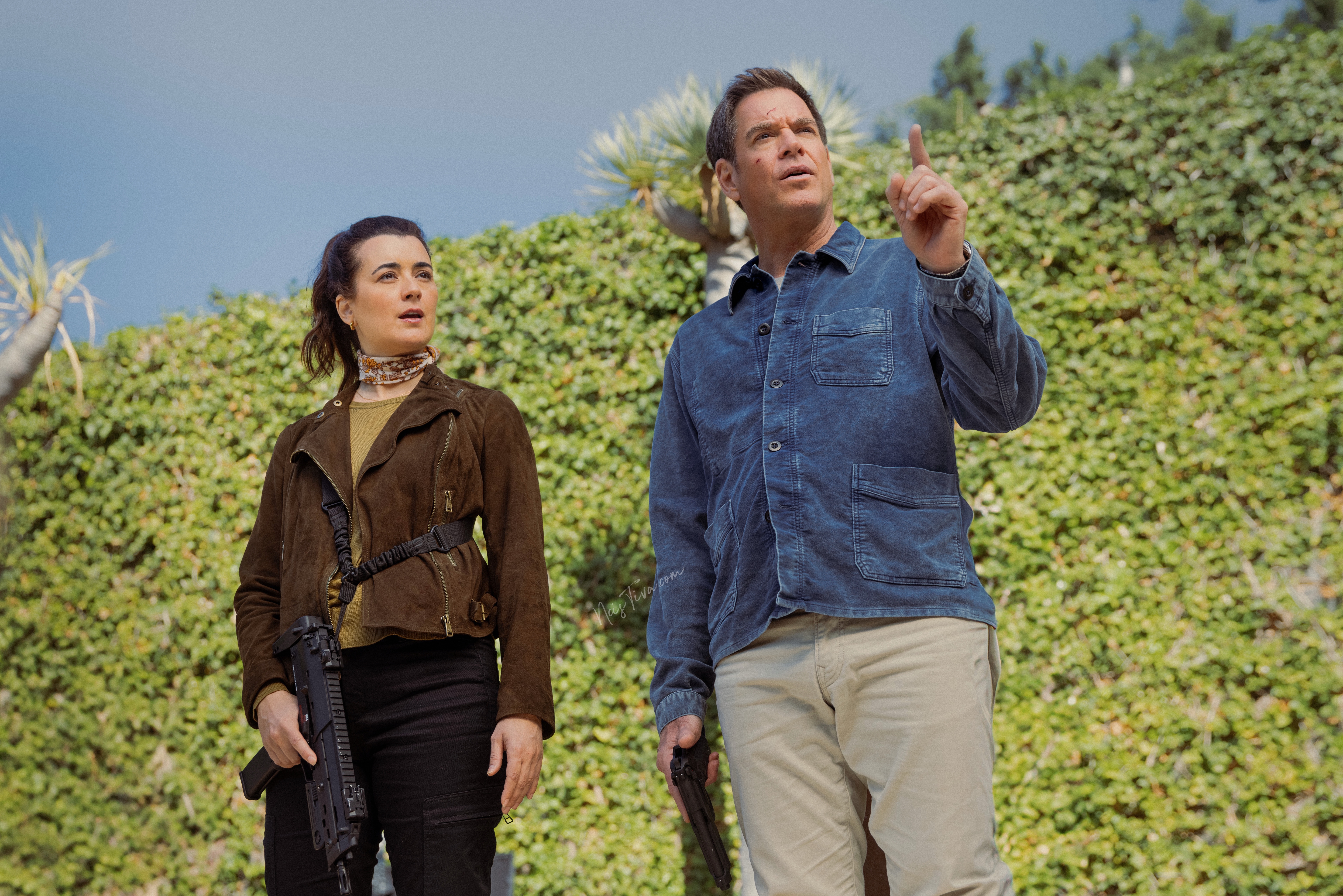 Cote De Pablo as Ziva David and Michael Weatherly as Tony Dinozzo In NCIS: Tony & Ziva